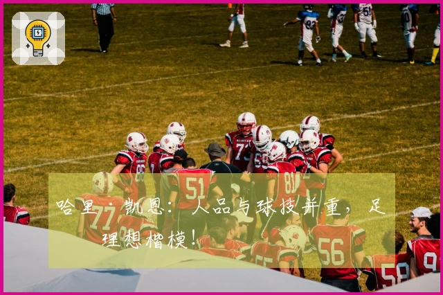 哈里·凯恩：人品与球技并重，足坛理想楷模！