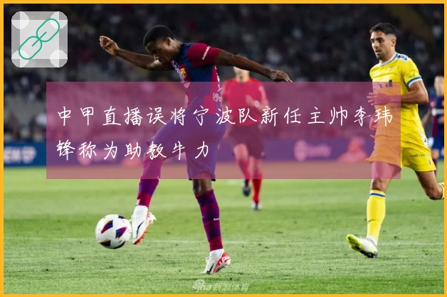 中甲直播误将宁波队新任主帅李玮锋称为助教牛力