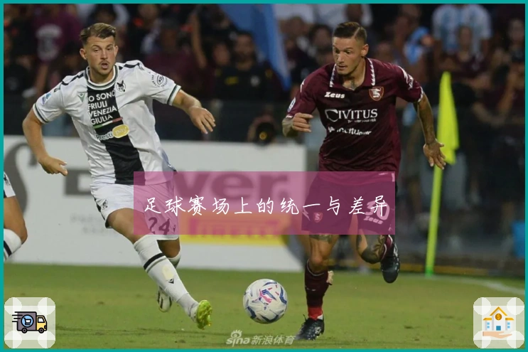 足球赛场上的统一与差异